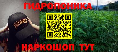 a pvp Аргун