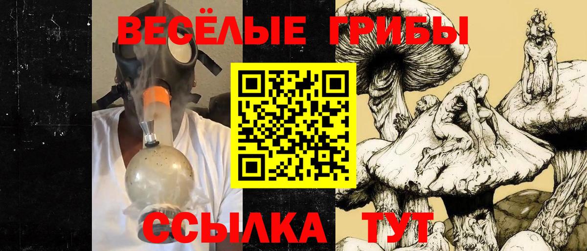 Псилоцибиновые грибы MAGIC MUSHROOMS  Вход с VPN  Псилоцибиновые грибы MAGIC MUSHROOMS  Асбест 