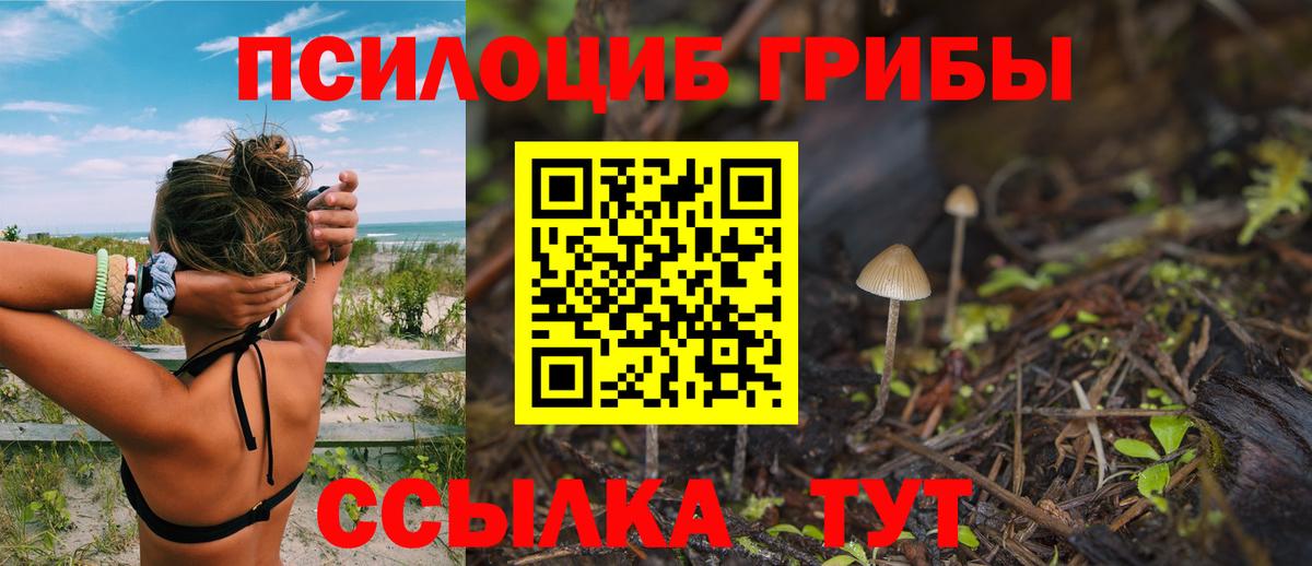 Галлюциногенные грибы MAGIC MUSHROOMS Асбест